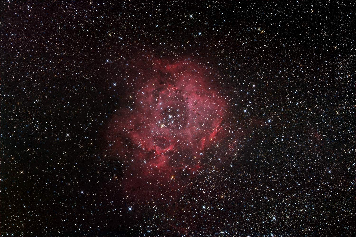 Rosette Nebula (NGC 2244)