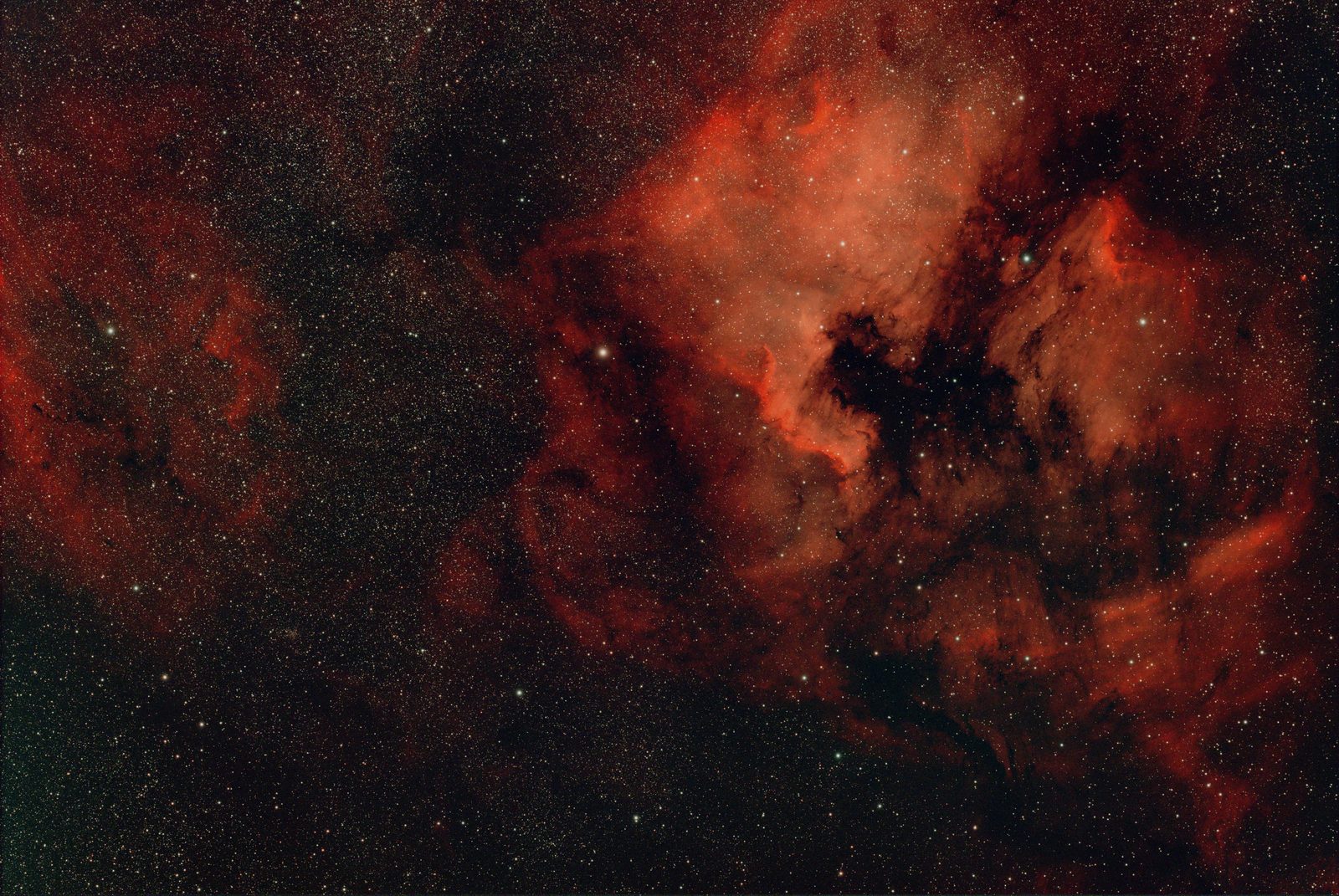 North America and Pelican Nebulae (NGC 7000 area)