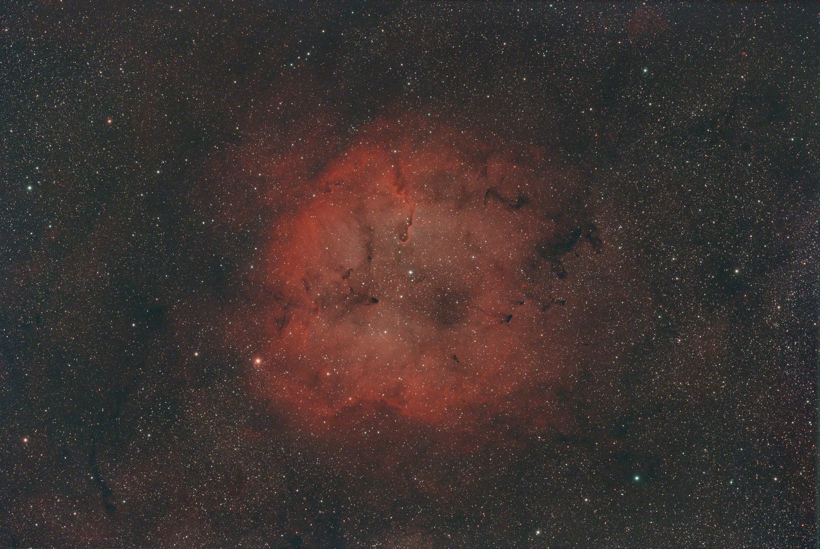 Elephant Trunk Nebula, unprocessed